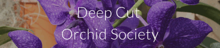 Deep Cut Orchid Society