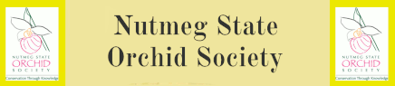 Nutmeg State Orchid Society